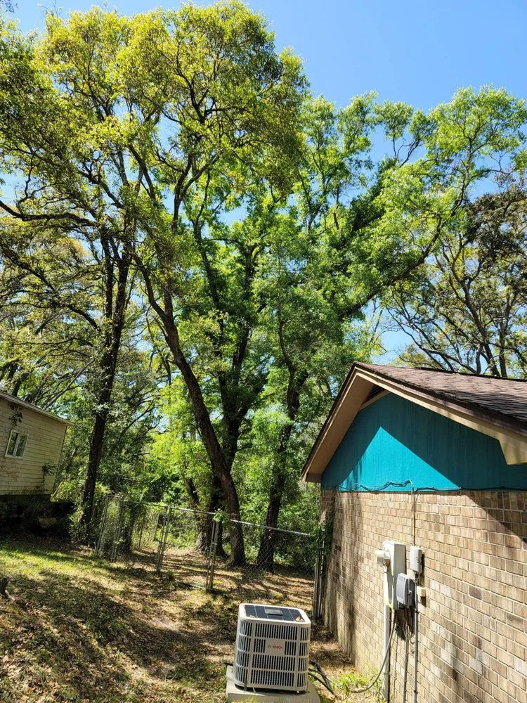 Trusted yard maintenance with custom design across Pensacola, FL - Economy Tree Service