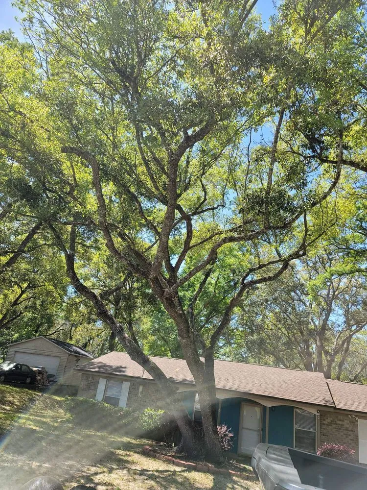 Reliable lawn mowing service with custom design across Pensacola, FL - Economy Tree Service