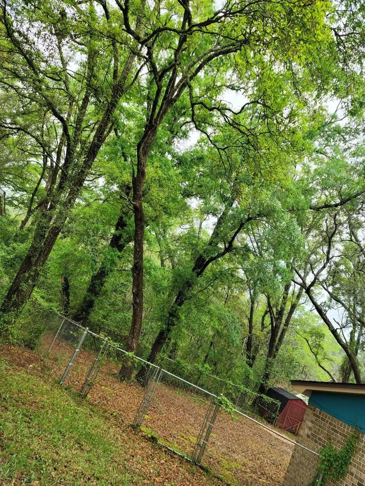 Professional lawn mowing service in Pensacola, FL - Economy Tree Service