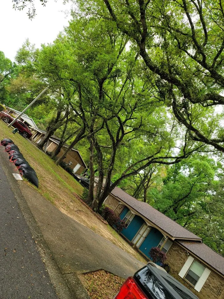 Trusted landscape installation in Pensacola, FL - Economy Tree Service