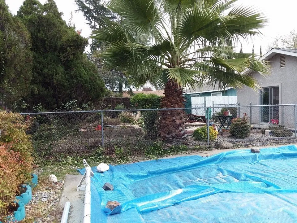 Trusted residential landscaping for year-round maintenance across Yuba City, CA - Econova Landscaping and Design