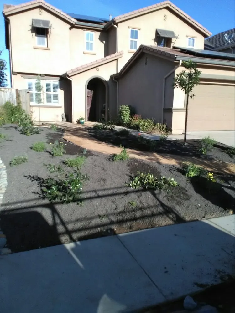 Custom yard maintenance in Yuba City, CA by Econova Landscaping and Design