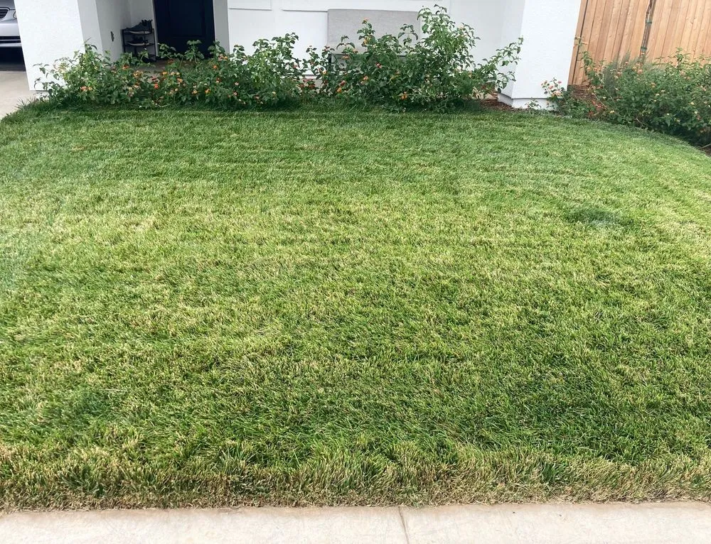 Reliable landscape installation experts serving Yuba City, CA - Econova Landscaping and Design