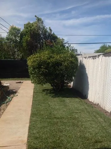 Trusted residential landscaping in Yuba City, CA - Econova Landscaping and Design