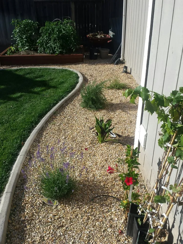 Trusted yard maintenance for outdoor upgrades in Yuba City, CA by Econova Landscaping and Design