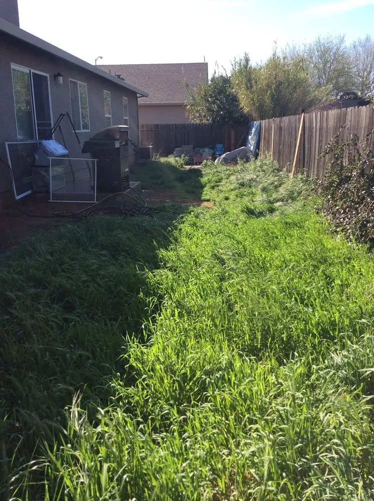 Local garden landscaping in Yuba City, CA - Econova Landscaping and Design