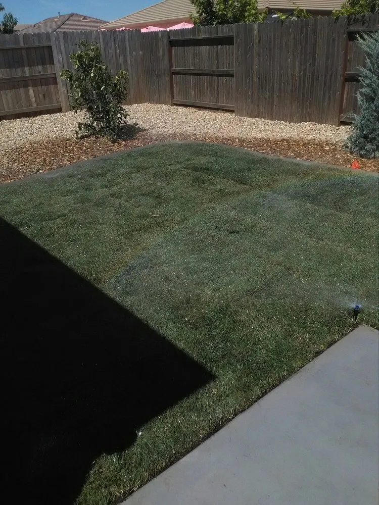 Professional landscaping services in Yuba City, CA by Econova Landscaping and Design