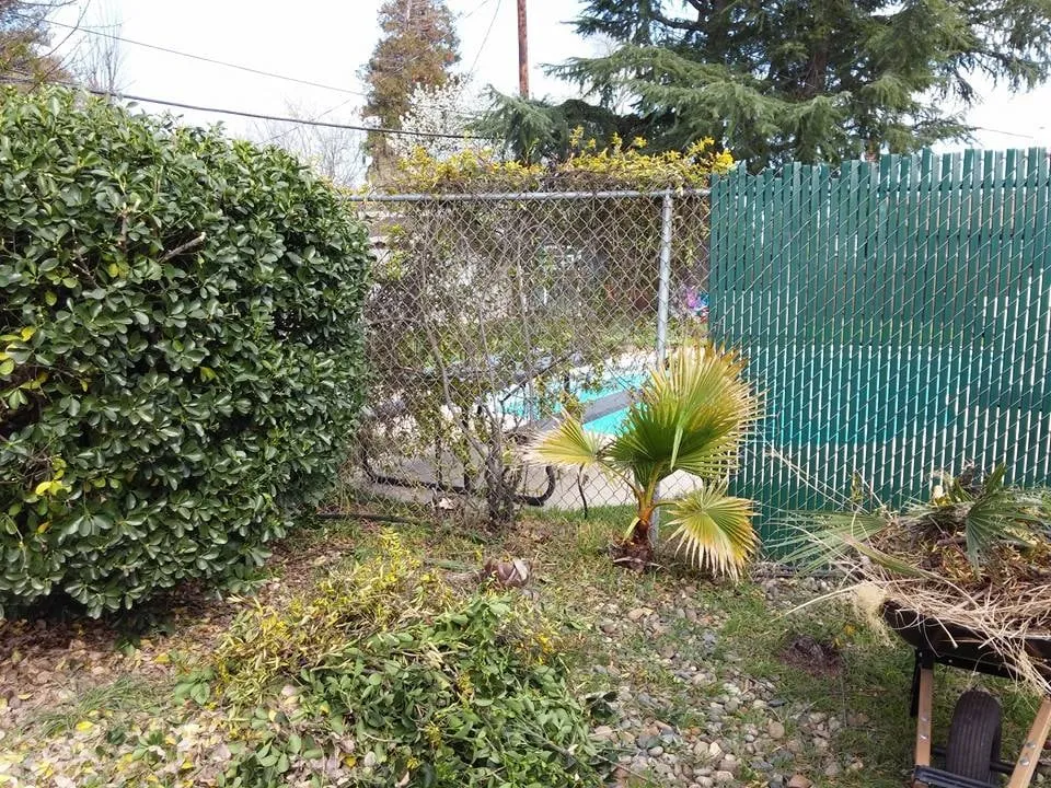 Custom lawn care service experts serving Yuba City, CA - Econova Landscaping and Design