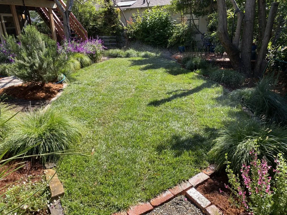 Top-rated lawn mowing service experts serving El Cerrito, CA - Ecopacha Landscaping