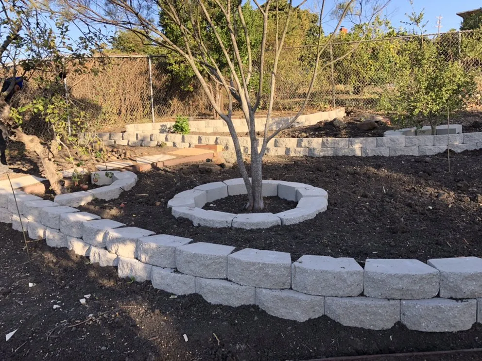 Custom yard cleanup service in El Cerrito, CA - Ecopacha Landscaping