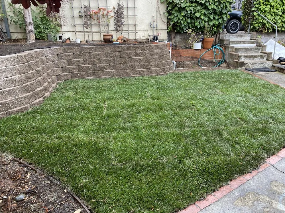 Custom landscaping services near you across El Cerrito, CA - Ecopacha Landscaping