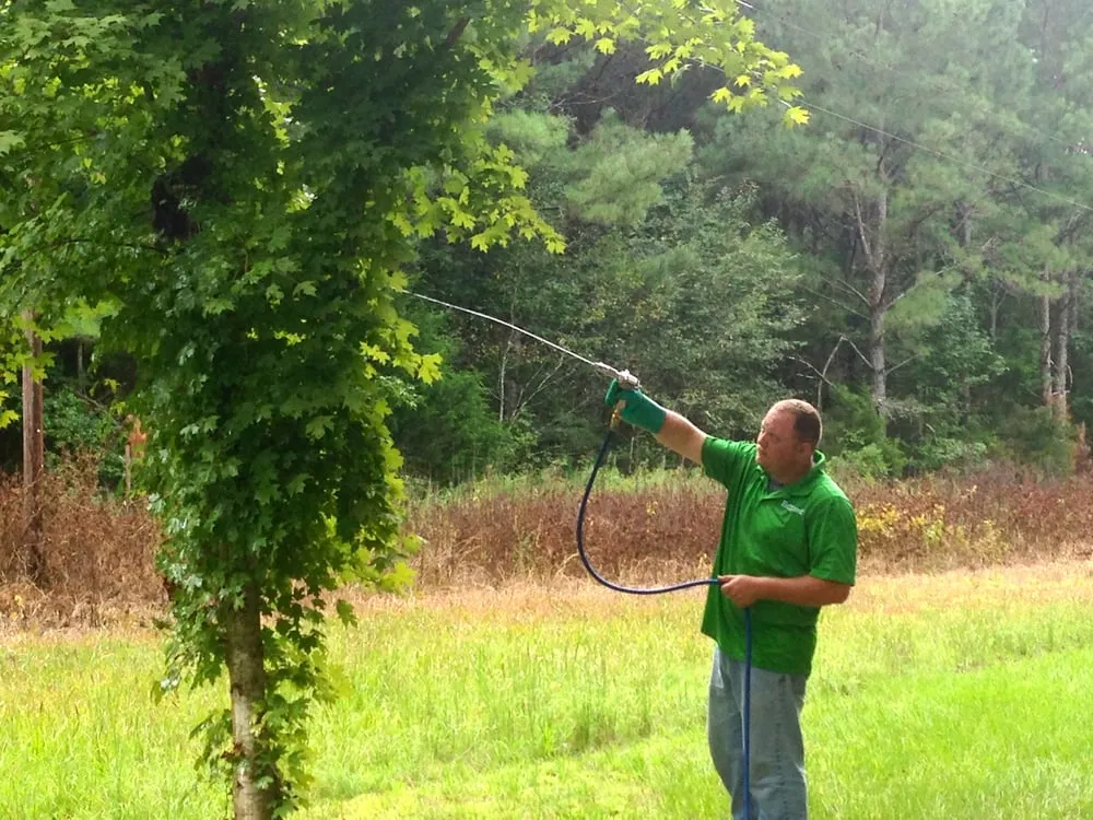 Local lawn care service experts serving Hartselle, AL - Ecopest Pest Control