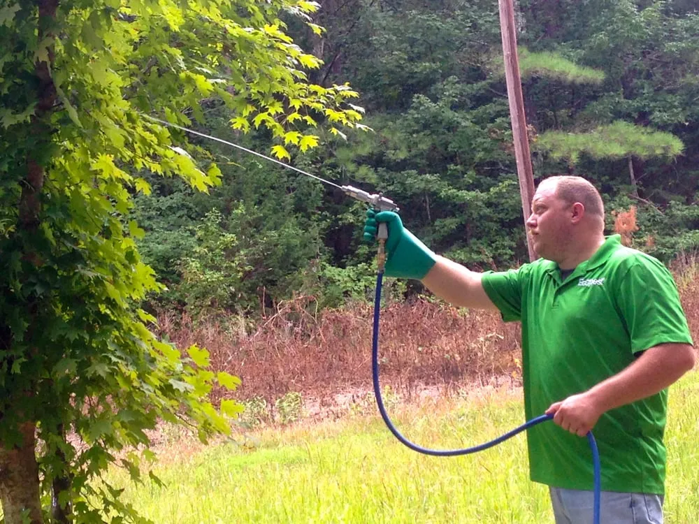 Reliable residential landscaping for homes in Hartselle, AL by Ecopest Pest Control