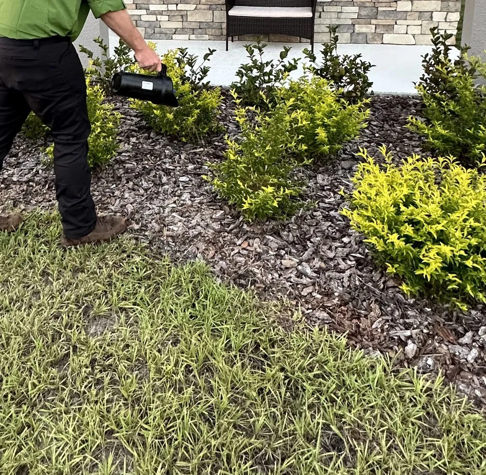 Custom landscape installation in San Antonio, FL - EcoPest