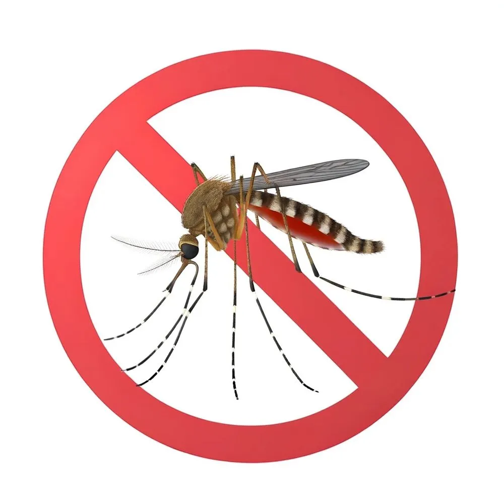 Professional landscaping services near you across San Antonio, FL - EcoPest