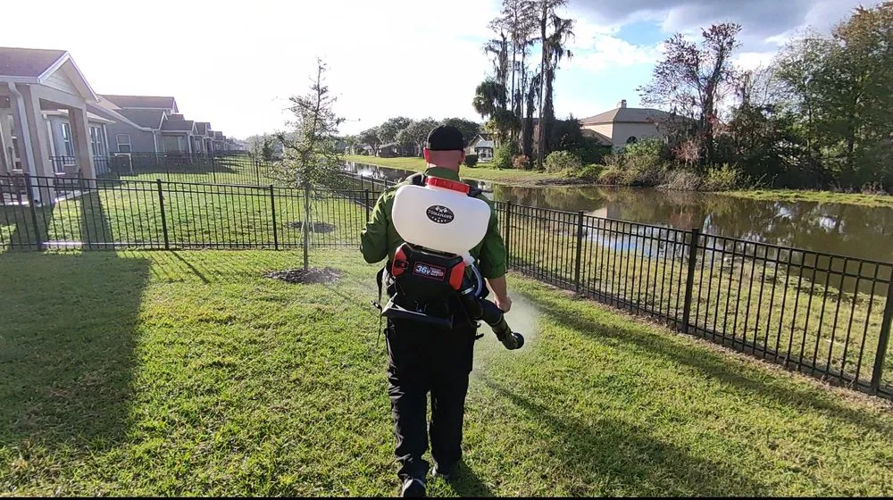 Expert yard cleanup service experts serving San Antonio, FL - EcoPest