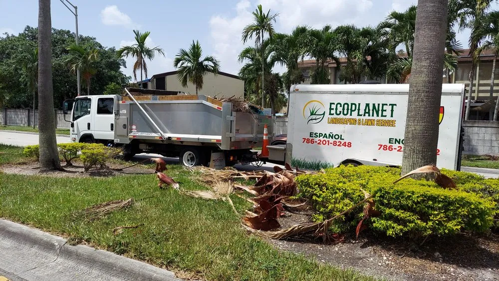 Top-rated yard cleanup service experts serving Miami, FL - Ecoplanet Landscaping