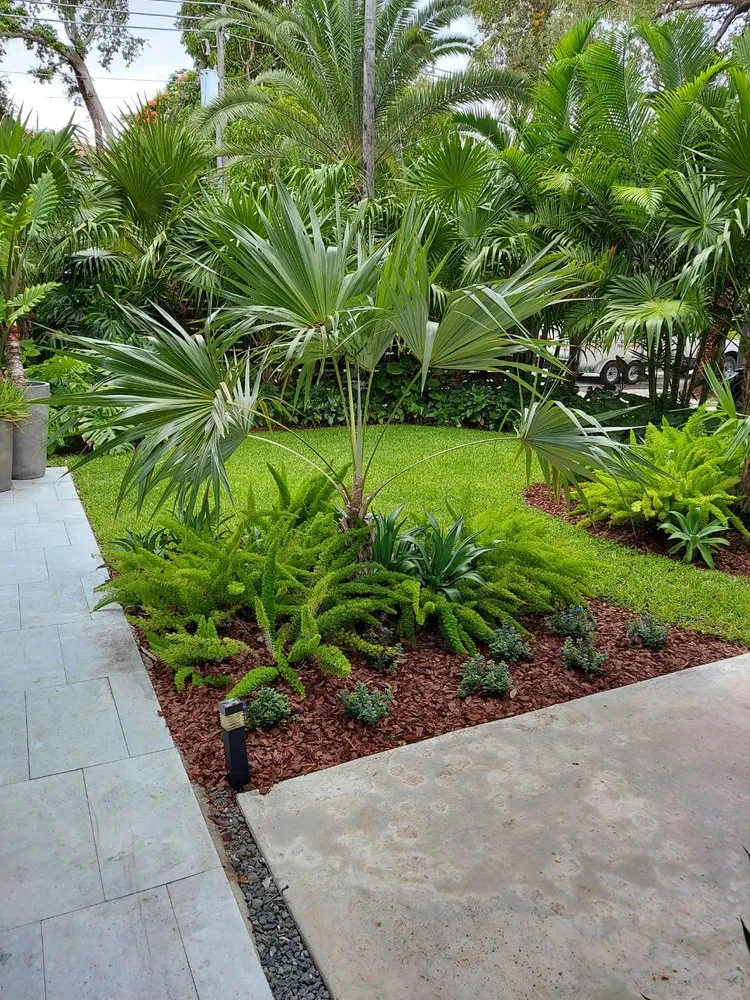 Trusted lawn care service in Miami, FL by Ecoplanet Landscaping