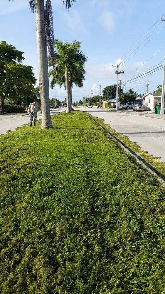 Trusted lawn mowing service in Miami, FL - Ecoplanet Landscaping