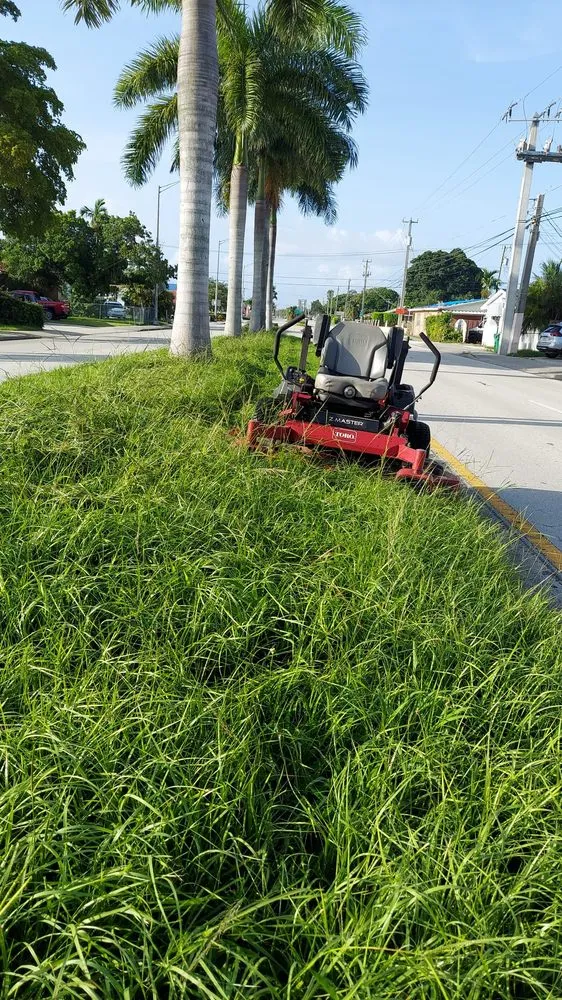 Top-rated lawn care service in Miami, FL by Ecoplanet Landscaping