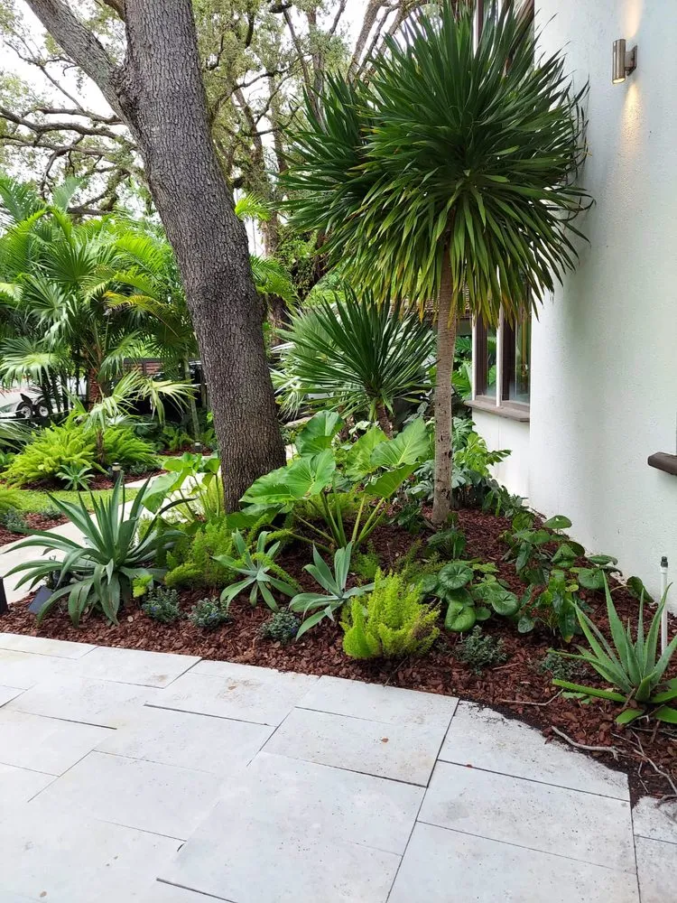 Top-rated landscape design in Miami, FL - Ecoplanet Landscaping