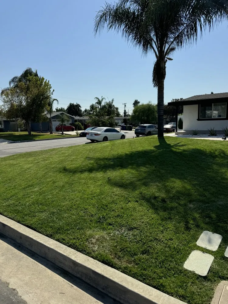 Local lawn mowing service in Los Angeles, CA - Ecoscape Co