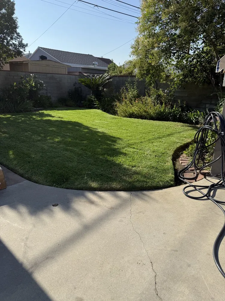 Top-rated lawn care service for beautiful yards across Los Angeles, CA - Ecoscape Co