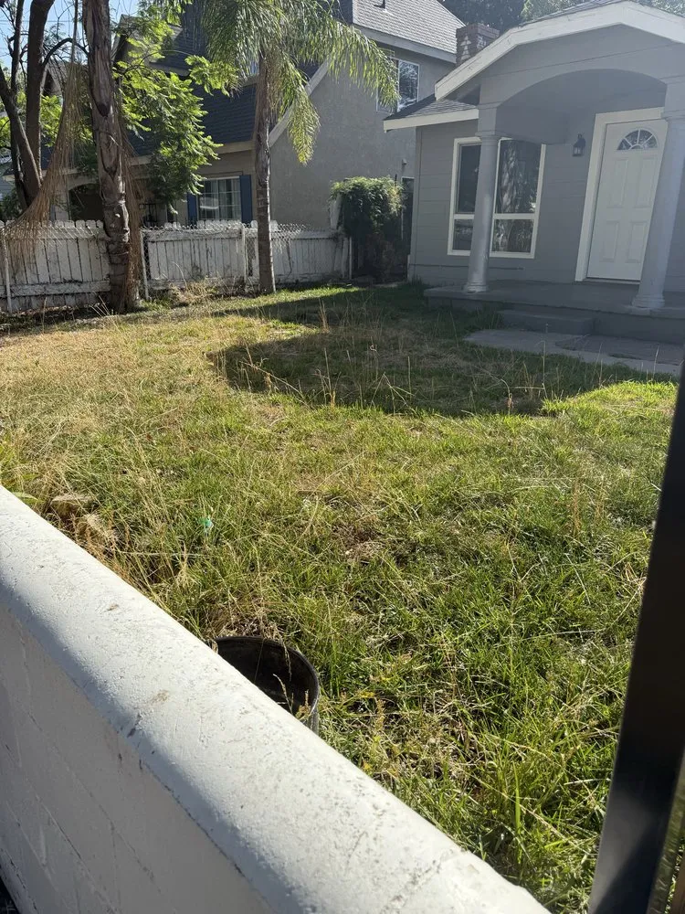 Reliable yard maintenance with custom design across Los Angeles, CA - Ecoscape Co