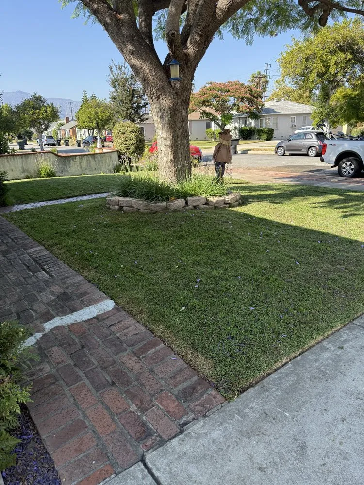 Expert lawn mowing service for homes across Los Angeles, CA - Ecoscape Co