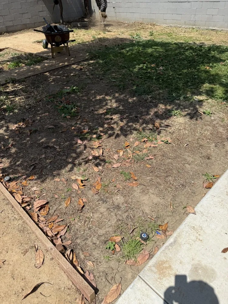 Affordable garden landscaping in Los Angeles, CA - Ecoscape Co