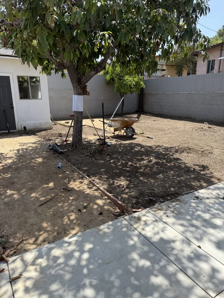Custom yard cleanup service in Los Angeles, CA - Ecoscape Co