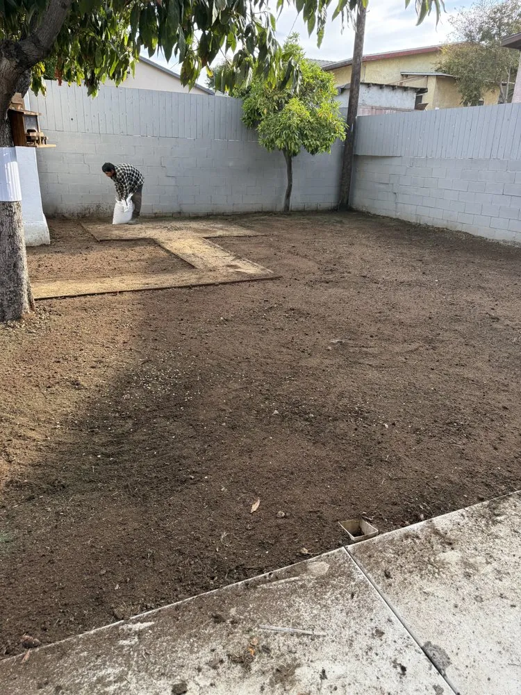 Expert outdoor landscaping in Los Angeles, CA - Ecoscape Co