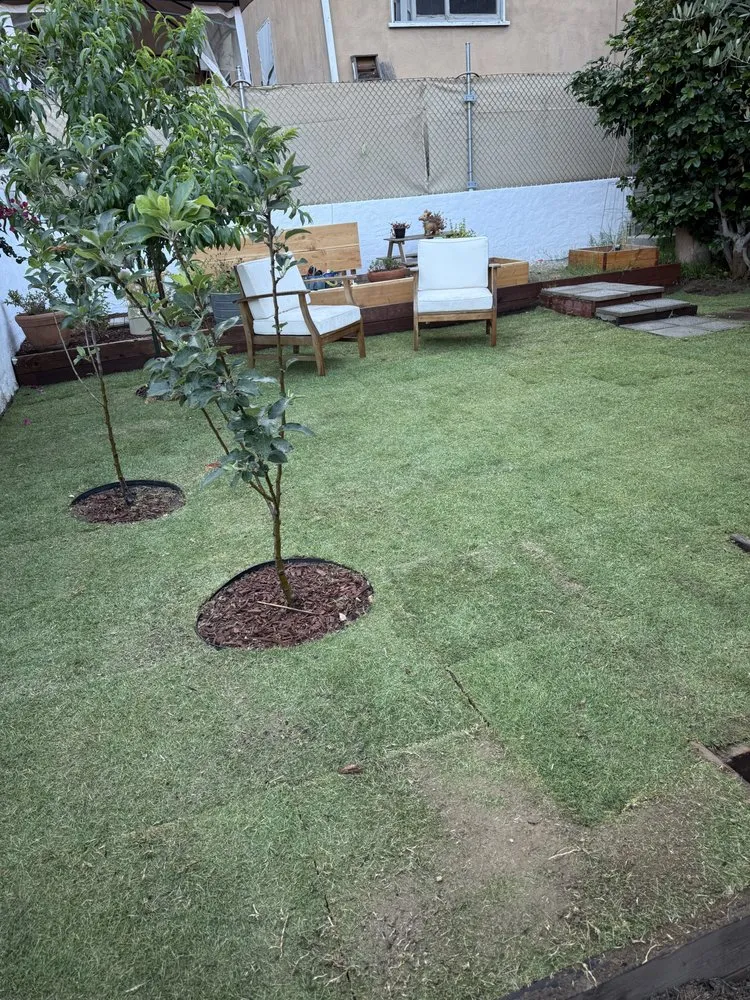 Trusted landscape installation in Los Angeles, CA by Ecoscape Co