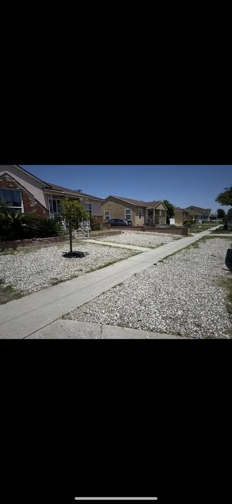 Custom landscaping services in Los Angeles, CA by Ecoscape Co