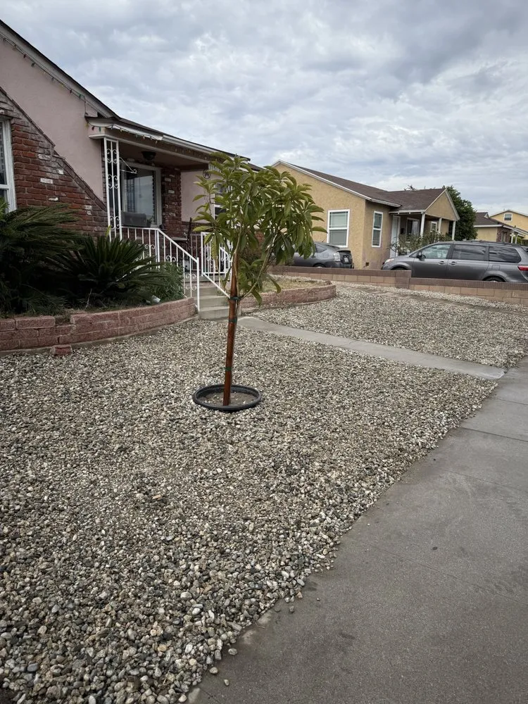 Custom lawn care service in Los Angeles, CA by Ecoscape Co