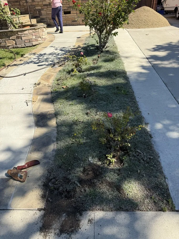 Professional residential landscaping in Los Angeles, CA - Ecoscape Co