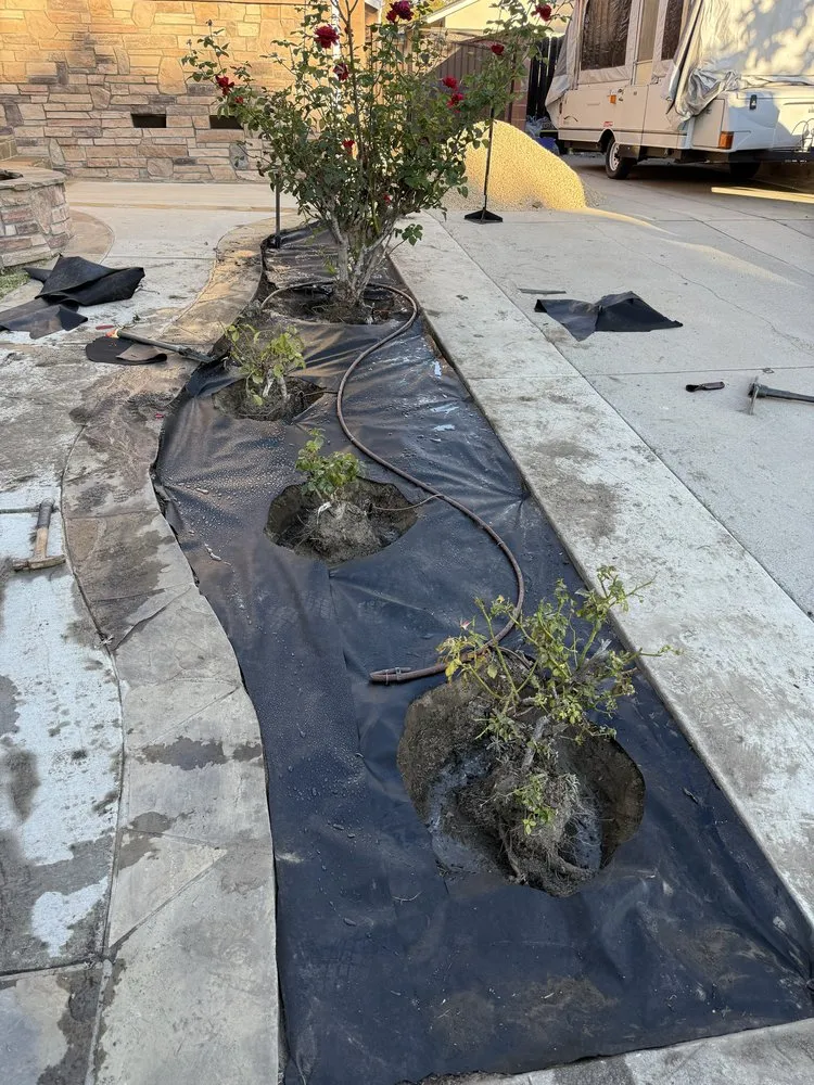 Affordable garden landscaping in Los Angeles, CA - Ecoscape Co