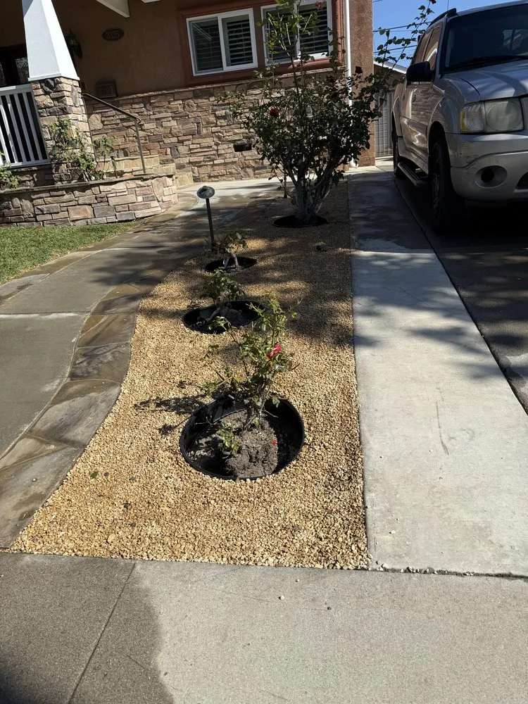 Custom residential landscaping for homes in Los Angeles, CA by Ecoscape Co
