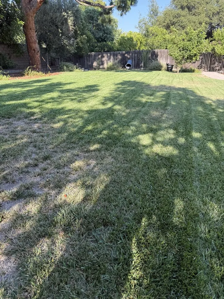 Expert garden landscaping with custom design across Los Angeles, CA - Ecoscape Co