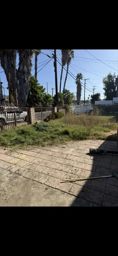 Trusted yard maintenance for outdoor upgrades in Los Angeles, CA by Ecoscape Co