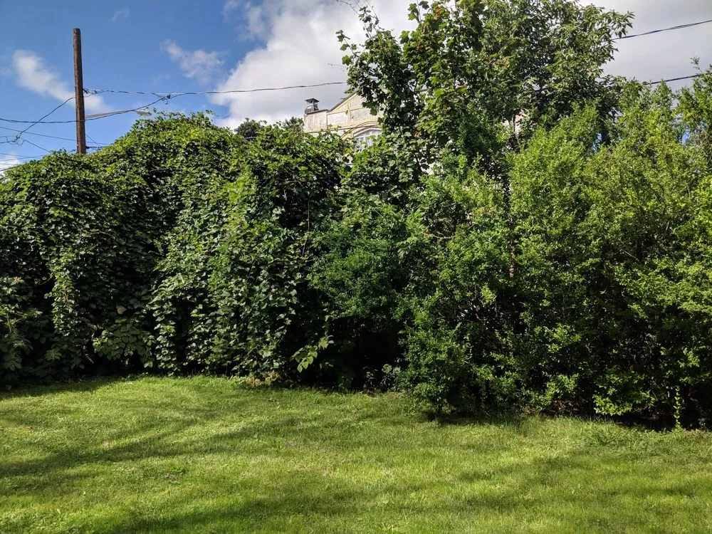 Trusted landscape design near you in Syracuse, NY by Ecoscape Design