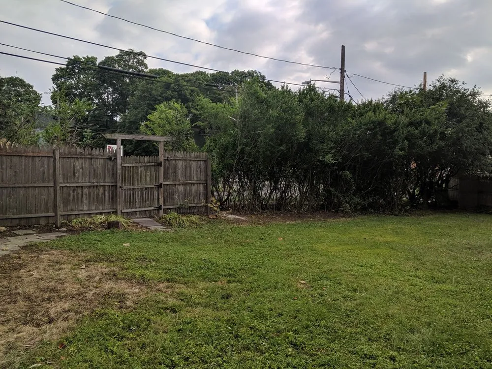 Reliable lawn care service in Syracuse, NY by Ecoscape Design