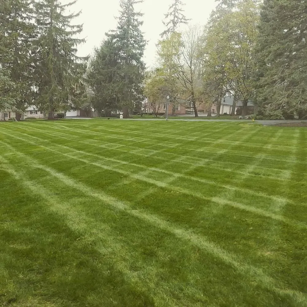 Expert lawn care service experts serving Syracuse, NY - Ecoscape Design