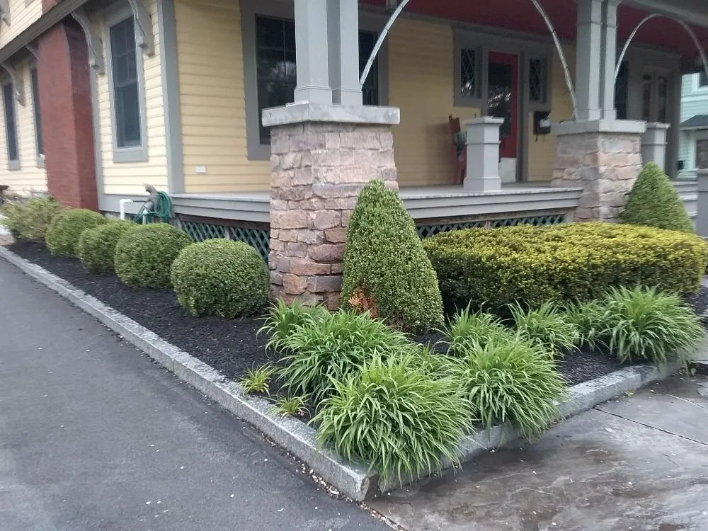 Trusted landscaping services in Syracuse, NY - Ecoscape Design
