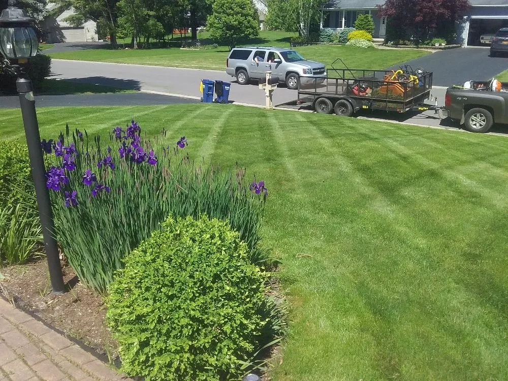 Local landscape design for homes across Syracuse, NY - Ecoscape Design