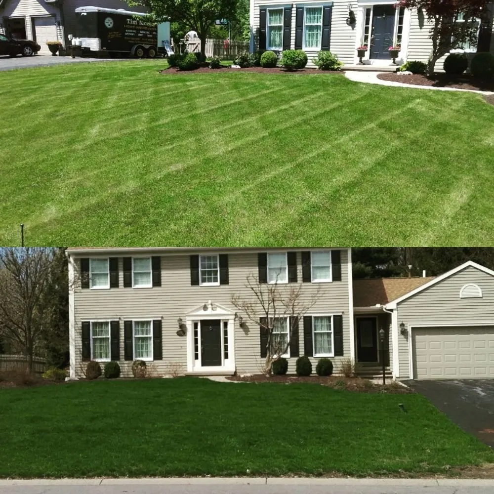 Trusted yard cleanup service for outdoor upgrades across Syracuse, NY - Ecoscape Design