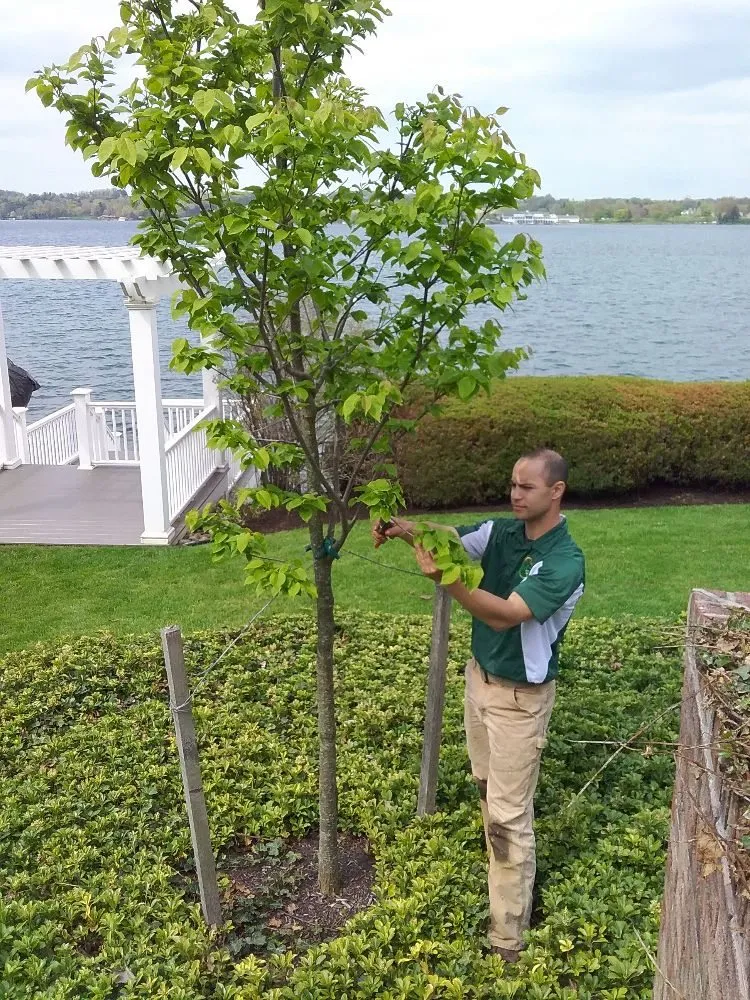 Local lawn care service for year-round maintenance across Syracuse, NY - Ecoscape Design