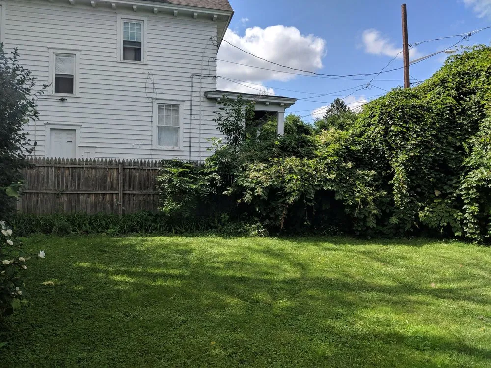 Custom yard cleanup service in Syracuse, NY - Ecoscape Design