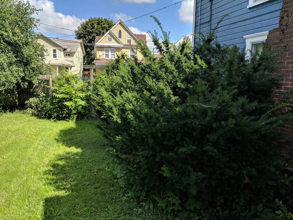 Reliable landscaping services in Syracuse, NY by Ecoscape Design