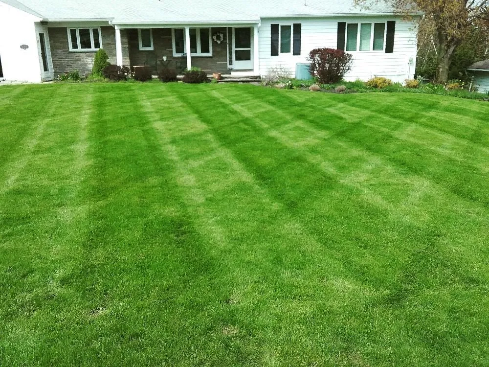 Affordable landscape installation in Syracuse, NY - Ecoscape Design